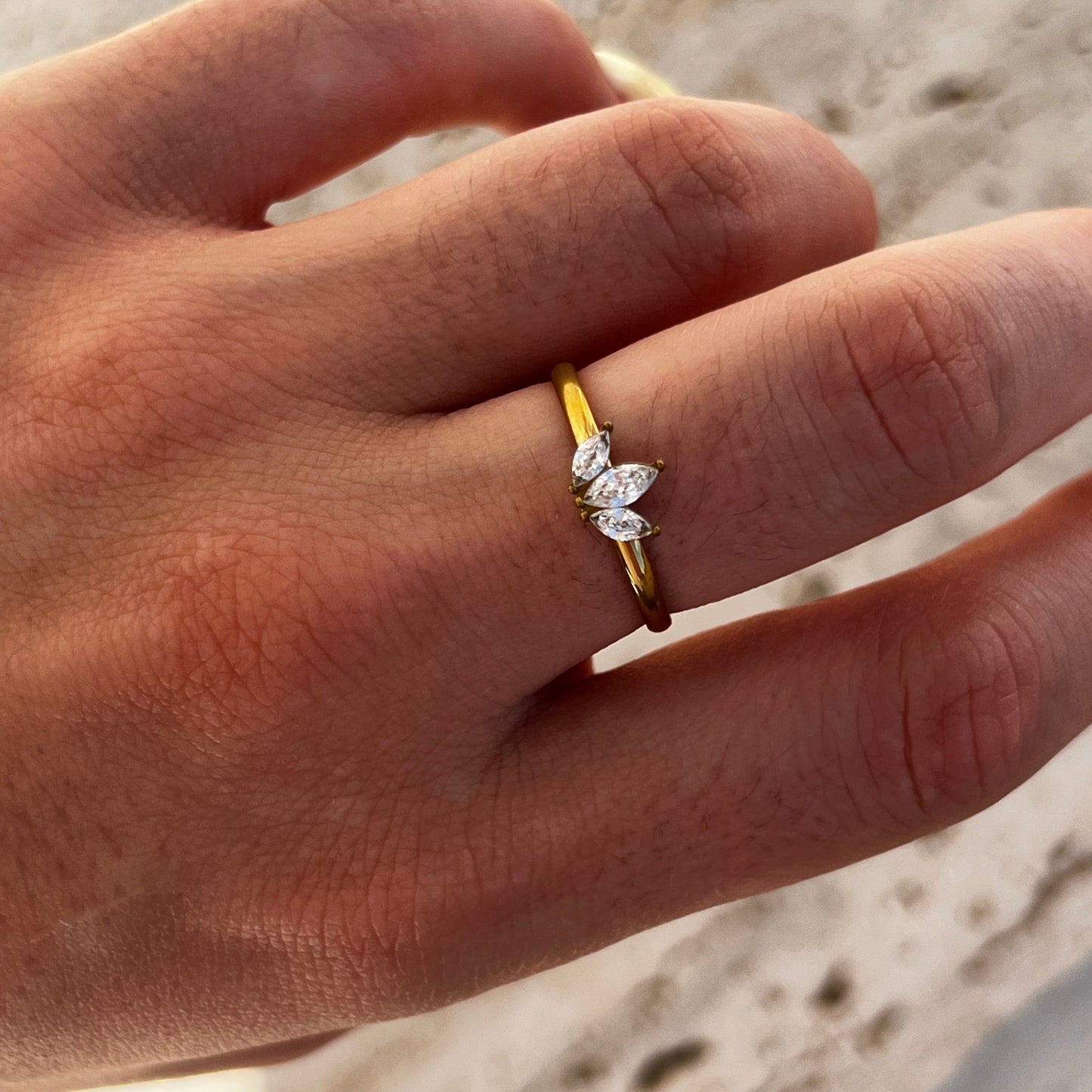 ANILLO VEGA