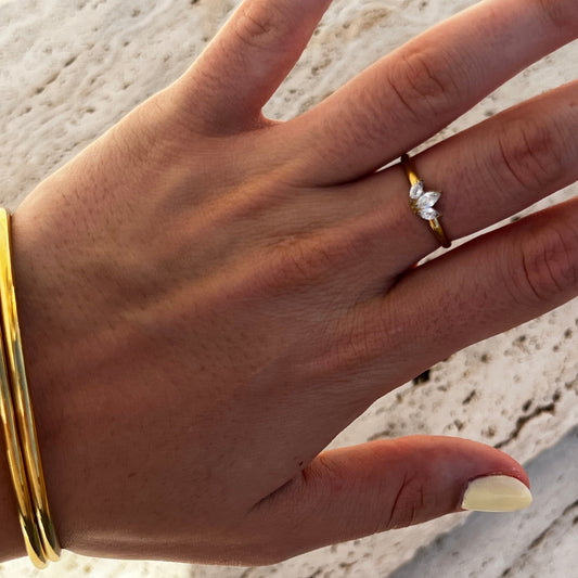 ANILLO VEGA