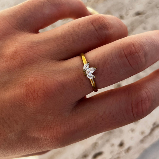 ANILLO VEGA